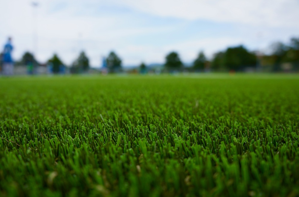 Natural grass field showing texture and maintenance challenges compared to artificial turf